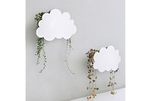 Hajia 2 Pack Wall Planters for Indoor Plants, White Cloud Shaped Metal Wall Mounted Planter for Succulent Herb Faux Plant, Modern Wall Hanging Planter Decor Art for Bathroom Living Room Porch.
