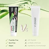 Aloe Dent Charcoal Toothpaste Fluoride Free 100 ml Pack of 2 view 3