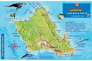 Oahu Hawaii Map & Coral Reef Creatures Guide Franko Maps Laminated Fish Card