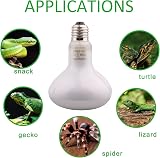 DERNORD Reptile Heat Lamp Bulb 150W Basking E27 2 Pack Daylight UVA UVB view 3