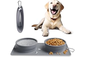 Collapsible Portable 2-in-1 Dog Bowl, Travel Dog Bowl Integrated, Silicone Foldable Expandable Food Water Bowl with Carabiner - Anti-Spill and Anti-Skid - for Camping/Traveling LPFLASAT (Grey)