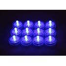 LED Waterproof Balloon Lights (12, Blue)