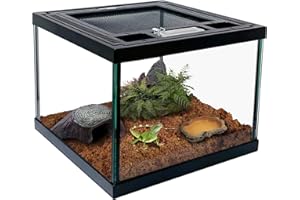 WAAZOOREP Mini Reptile Glass Terrarium Tank 8 * 8 * 6" Full View, Amphibians Box Habitat Enclosure Cage for Frog,Spiders,Dubia Cockroach,Praying Mantis,Cricket,Tarantula,Hermit Crab