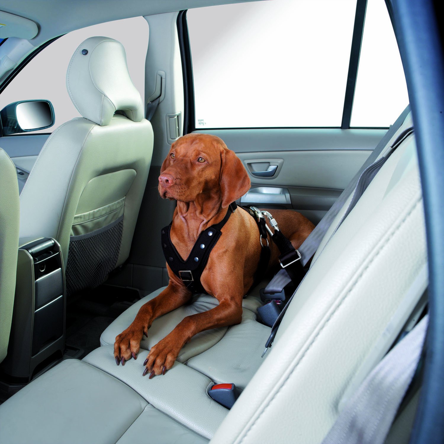 年最新海外 ハンター Hunter セーフティ ハーネス イージー コンフォート L B002a690bm 胴回り 60cm 75cm 幅 2 5cm 超特価激安 Www Cuentaconmigotienda Com Ar