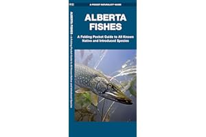 Alberta Fishes: A Folding Pocket Guide to All Known Native and Introduced Species