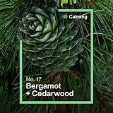 INEOS Hygienics Next-Gen Antibac Multi-Room Wipes Bergamot Cedarwood 60 view 4