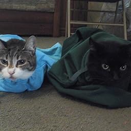 cat swaddle carrier