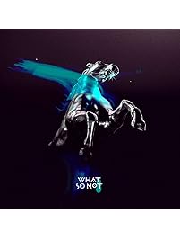 Not All the Beautiful Things