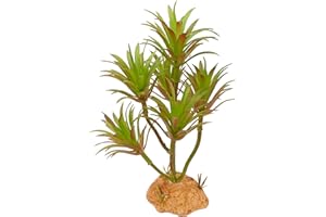 Woyrise Reptile Artificial Plants Terrarium Decor, Fake Desert Plants Bearded Dragon Tank Decorations Accessories fit Crested Gecko Leopard Lizard Chameleon Ball Python Snake Frog - Tillandsia