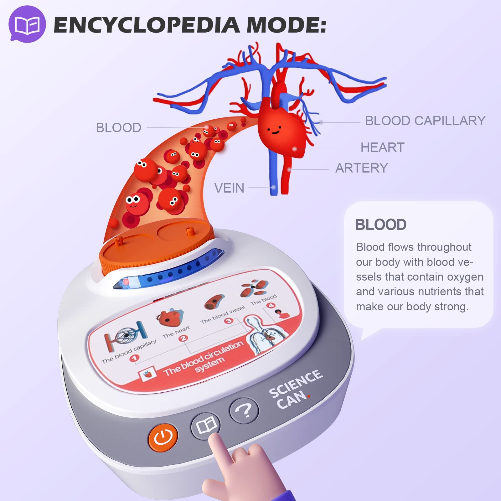 Mua SCIENCE CAN Human Body Model for Kids, Interactive Anatomy Toys for ...
