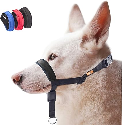 padded dog head collar