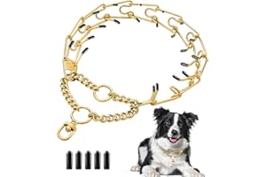 MONLIDA Stainless Steel Dog Pinch Collar - Gold Prong Martingale Collar, Adjustable Size for Medium & Large Dogs (XL, Gold)
