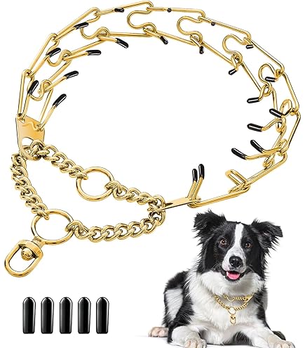 Amazon.com : Dog Pinch Collar Stainless Steel,Gold Prong Dog