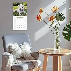 2026 Wall Calendar Labrador Retriever Planner