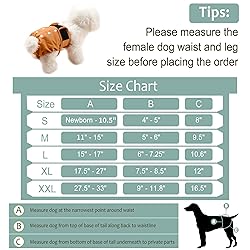 Female Dog Diapers - Premium Reusable Diapers for