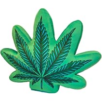 Amazon.com: M Jane Weed Pillow Cannabis Accessories Hippie Room ...