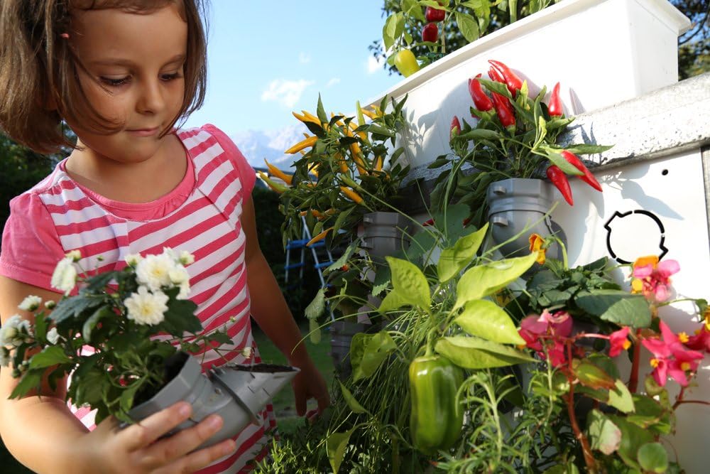 i3-Benjamin Starter-Kit jardín Vertical: Amazon.es: Jardín