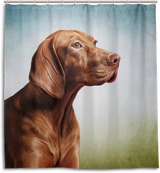 vizsla pointer dog