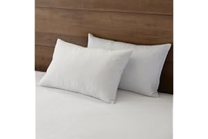 APSMILE 12''x20'' Goose Down Feather Throw Pillow Inserts 2 Pack - Premium Soft Cotton Euro Rectangle Decorative Pillow Core Set for Bed, Sofa, Couch, Ivory White