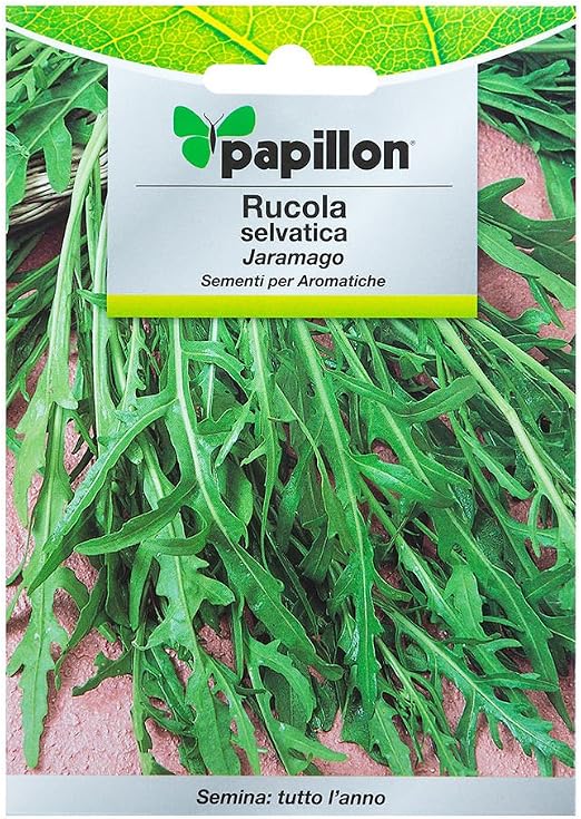Semillas Aromaticas Rucula Selvatica (2.5 Gramos): Amazon.es: Jardín