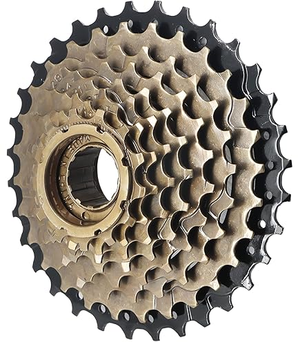 Amazon.com : Sunrace Freewheel 8 Speed 13-34 Teeth : Sports & Outdoors
