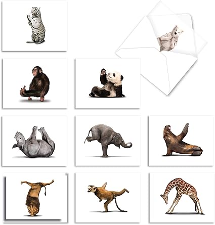 Zoo Mp6547 Lot De 10 Cartes De VÅ
