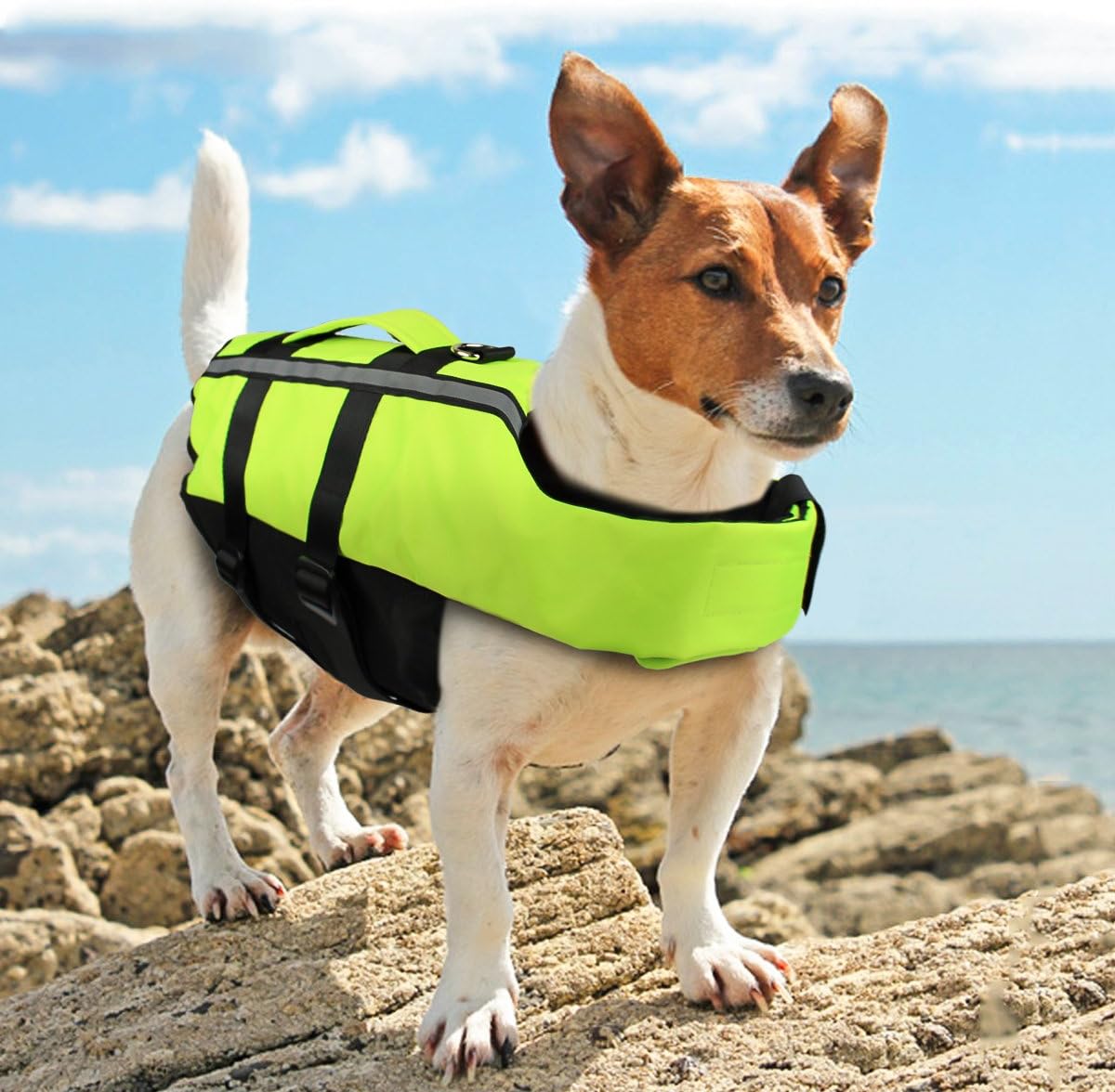 NAMSAN Dog Life Jacket Portable Inflatable Life Vest for Medium Dog with Reflective Stripe Safety Handle Dog Flotation Jacket Adjustable Pet Buoyancy Aid, Green-M