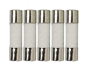 5 Qty. 5x20mm 8A Slow-Blow Ceramic Fuse T8a 250v