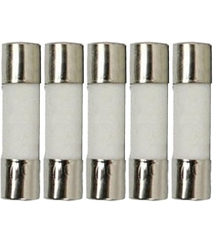 2 Fusibili In Ceramica 8A 250V 5x20 Mm – Soffiaggio Lento (T) – Generici
