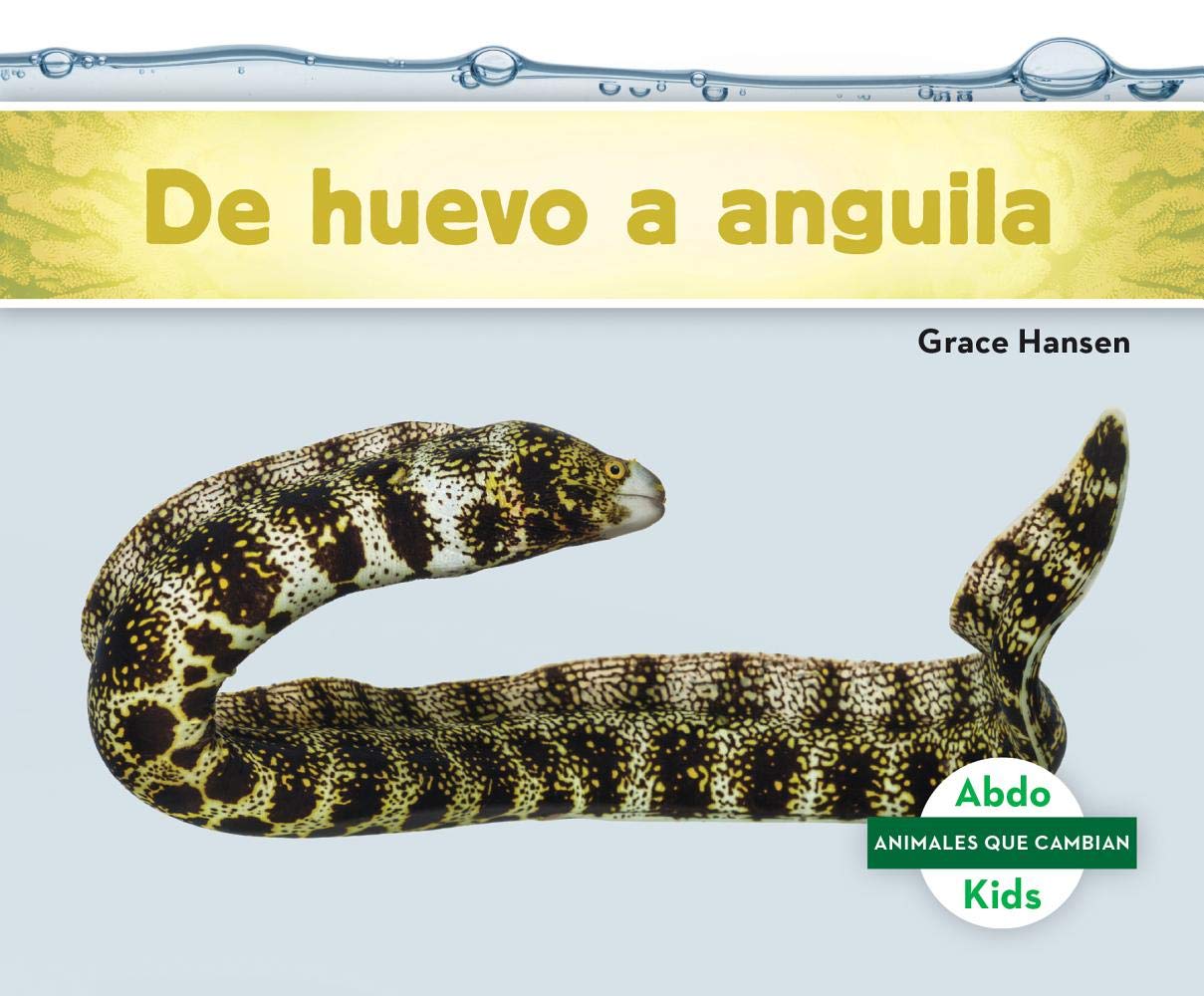 De Huevo A Anguila Becoming A Animales Que Cambian Changing Animals Spanish Edition Hansen Grace Amazon Com Books