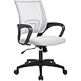 Home Office Chair Ergonomic Desk Chair Mesh Computer Chair with Lumbar Support Armrest Executive Rolling Swivel Adjustable Mid Back Task Chair for Women Adults (White)