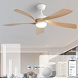 Sofucor 52" Smart Ceiling Fan, Indoor/Outdoor