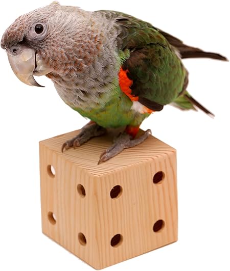 macaw foraging toys