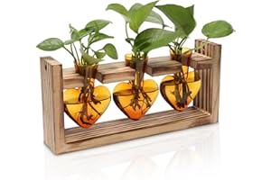 RCXSIGNS Plant Terrarium Unique Birthday Gift for Women Propagation Stations Home Office Decor Heart Shaped Glass Vase with Wooden Stand