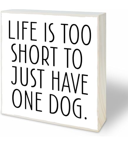 Primitives By Kathy Targa Rustica – Beware Of Wigglebutts, Legno 12,7 X 7,6 Cm