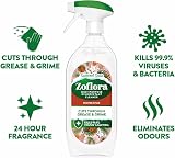 Zoflora Winter Spice Disinfectant Spray 800ml Antibacterial Multi-Surface view 2
