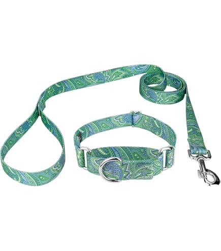 Amazon.com: Country Brook Petz - 向日葵鞅狗項圈和牽繩- 花卉系列