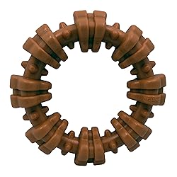 Nylabone Power Chew Textured Dog Chew Ring Toy, Dog