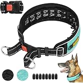Mayerzon No Pull Collar for Large Medium Dogs Walking that Pull, Cyan, L | Patented Martingale Anti Pull Dog Training Collar, For Pitbull German Shepherd Rottweilers, Buckle, Reflective, Adjustable