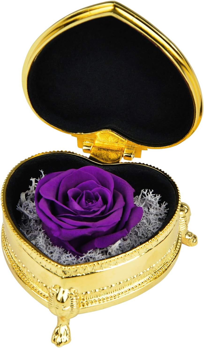 Handmade Preserved Rose Present, Exquisite Fresh Roses Upscale Immortal Flowers Best Gift for Female Birthday, Anniversary, Christmas (GS&Purple)