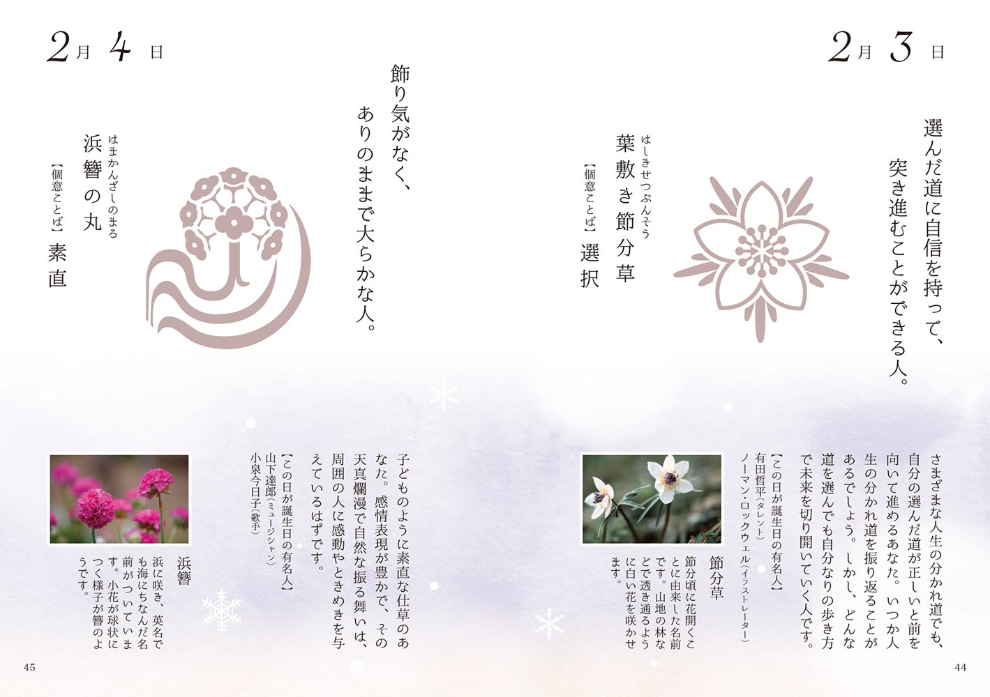 花しるべ手帖 誕生日の花個紋 Amazon Co Uk Books