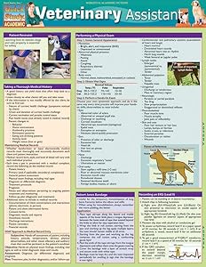 kindle best category lists