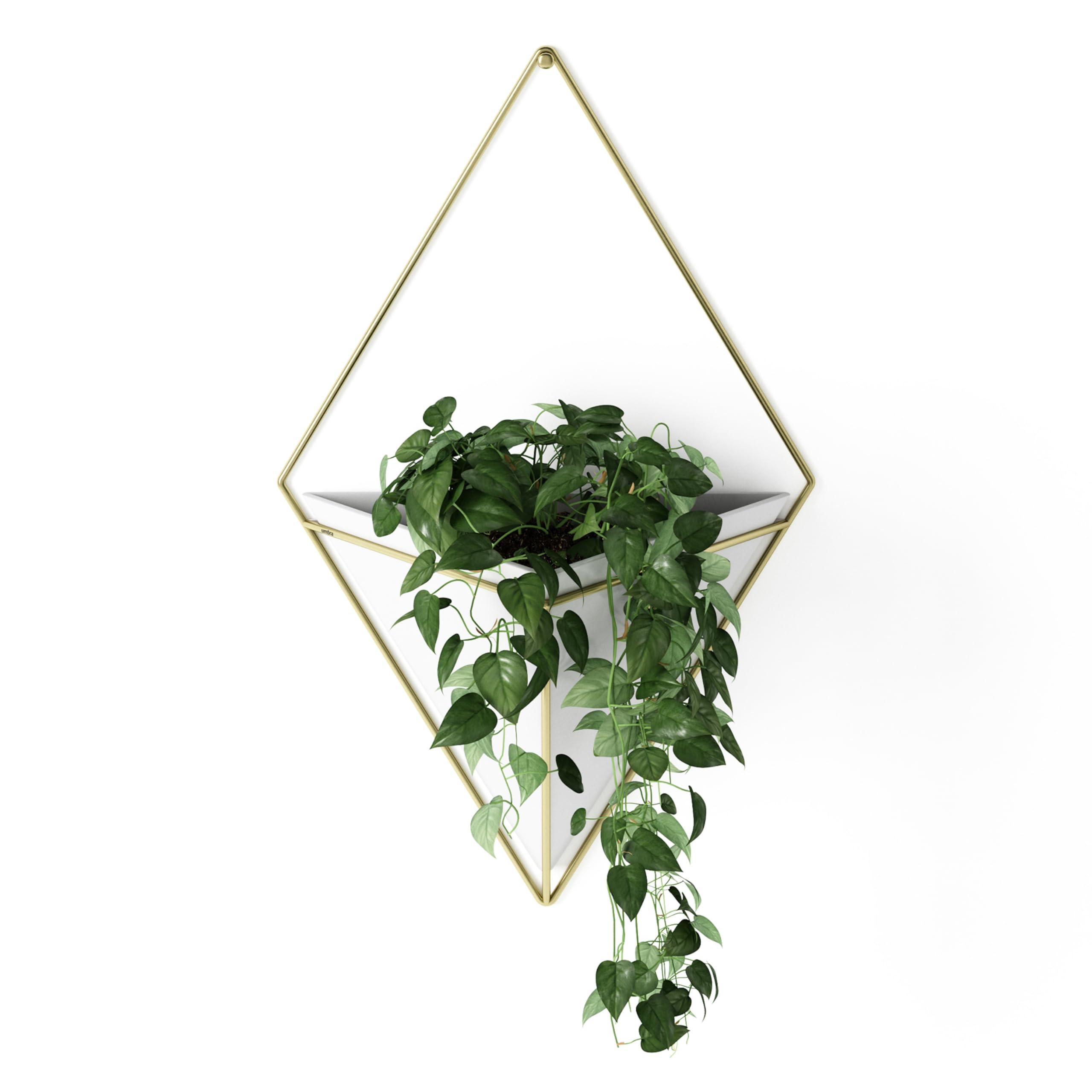 Umbra Trigg Hanging Planter Vase Wall Decor, Pot and Container for Succulents, Cactus, Faux Plants, and More, Large, White/Brass — image 1