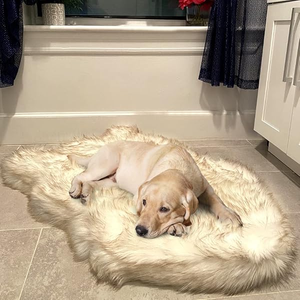 pup protector rug
