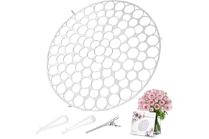 JAKY-GLOBAL Flower Arrangement Holder 8in Floral Grid Flower Frog Arranging Tool Wire Arranger Twist for Vase Floral Ikebana Stems Holder Bouquets Plant Fixation(8in Silver)