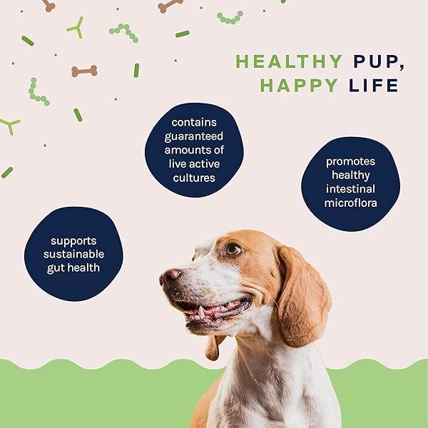 GOOD TROUBLE PETS PROBIOTIC SUPPLEMENT FOR DOGS – CHICKEN FLAVOR, 30 CHEWS – ENHANCED DIGESTIVE SUPPORT