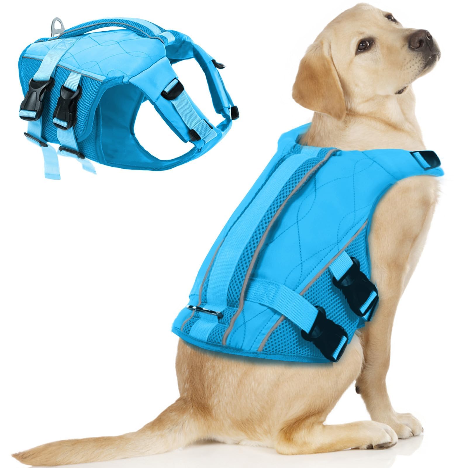 Photo 1 of ASENKU Dog Life Jacket - Pet Safety Vest for Swimming & Boating, Shark Life Jacket with Floatation, Dog Lifesavers Swimsuits for Small Medium Large Dogs (Blue, XL)