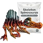 Articulated Skeleton Spinosaurus Figurine – Articulating Dinosaur Figurine – Prehistoric Collectible – 3D Printed in Canada (Prismatic Rainbow)