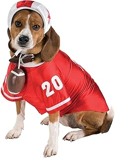tom brady dog jersey