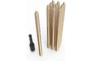 Pisman 5/16" X 4" 10PCS Single Pointed Double Ended Screws Have Various Sizes.